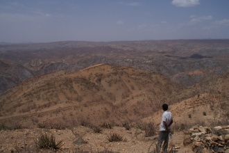 In 2010, API team visited the Tigray Region of Ethiopia, where most of the region was degraded with no of very scarce vegetation.