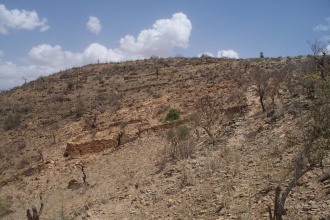 In 2010, API team visited the Tigray Region of Ethiopia, where most of the region was degraded with no of very scarce vegetation.