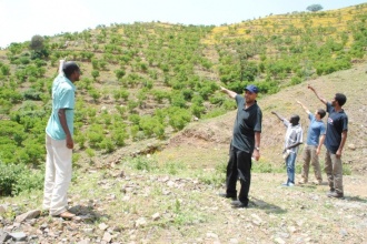 More jatropha trees have been planted along road sides and hill sides to increase supply soa s to meet the planned capacity of the production unit.